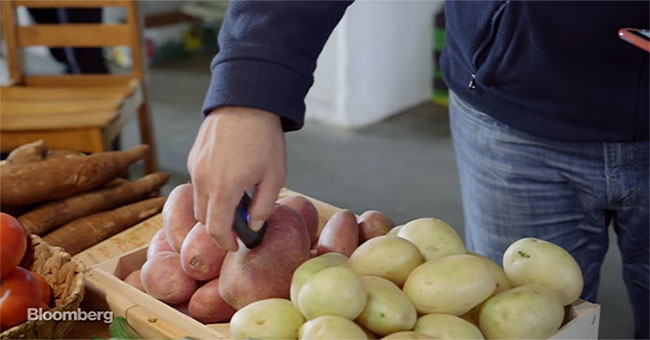 Thiết bị cầm tay giúp “giải mã” chất lượng thực phẩm trong nháy mắt