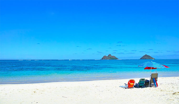 Bãi cát trắng tuyệt đẹp ở Hawaii thực chất chỉ là... phân cá?