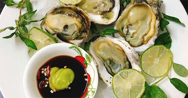 Vi khuẩn Vibrio vulnificus là gì?