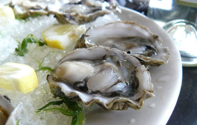 Vi khuẩn Vibrio vulnificus là gì?