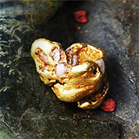 Anh: Tìm thấy cục vàng tự nhiên lớn nhất sau 500 năm, giá 1,5 tỷ đồng