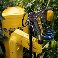 Kỳ thú xem robot “nông dân” làm việc thay con người trong nhà kính