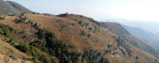 Phát hiện 