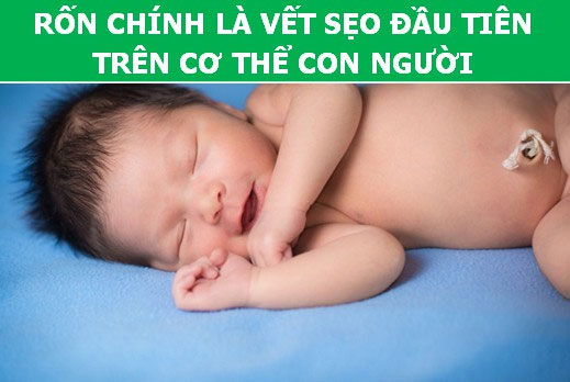Bất ngờ trước những sự thật khoa học về… chiếc rốn