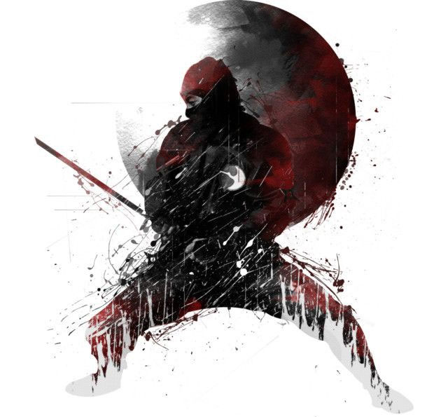 Bí ẩn về ninja 