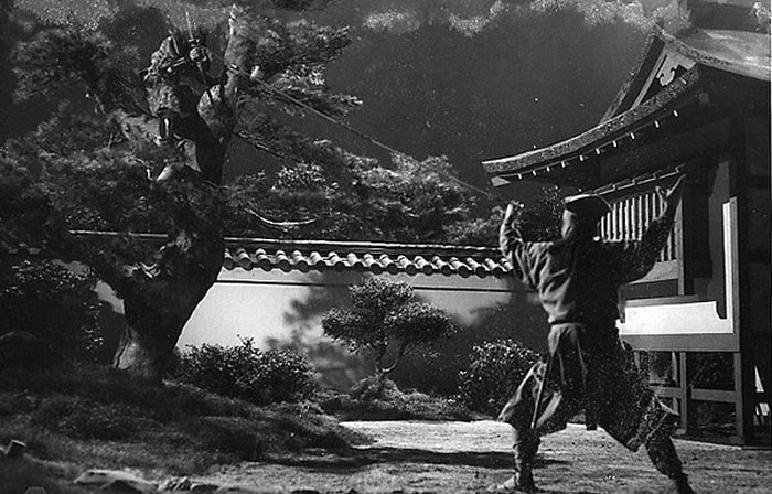 Bí ẩn về ninja 
