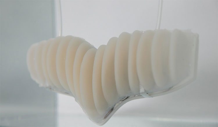 Amphibio - một ý tưởng 