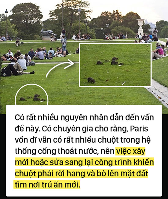 Kinh hoàng 