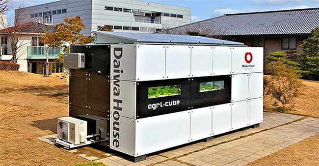 Agri-Cube - Container công nghệ giúp tăng năng suất trồng rau thủy sinh ở thành phố