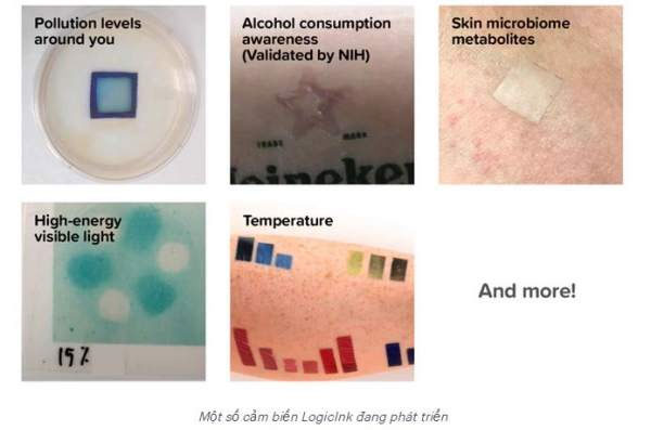 Hình xăm thông minh LogicInk đo mức độ tia UV