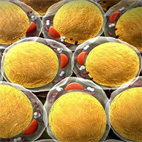 Các nhà khoa học phát hiện tế bào ung thư thích chất béo