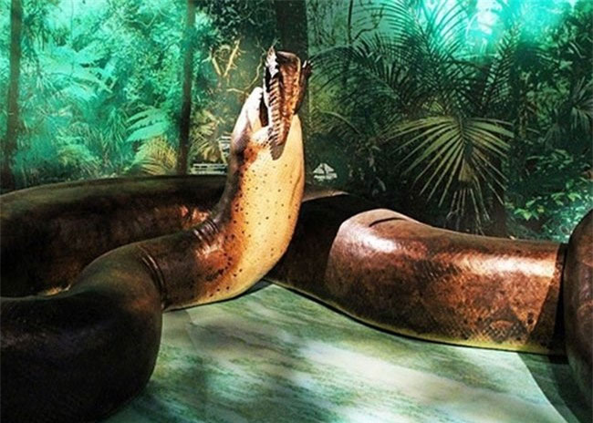 Điểm danh những loài động vật 