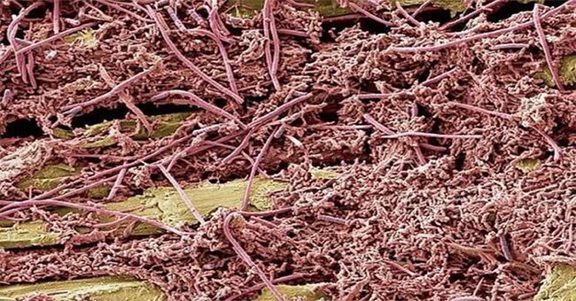 Sự thật "thú vị lẫn kinh hoàng" về chính mình khiến bạn phải ngỡ ngàng