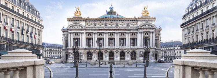 Vì sao người Paris nuôi ong lấy mật trên mái vòm những tòa nhà?
