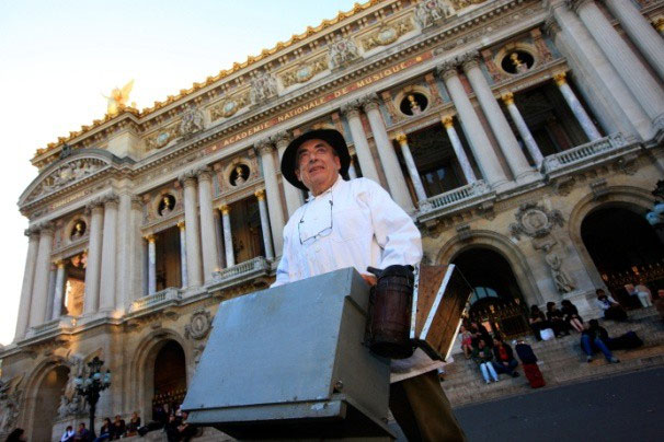 Vì sao người Paris nuôi ong lấy mật trên mái vòm những tòa nhà?