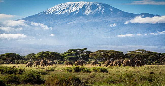 10 điểm đến ngoạn mục sắp biến mất trên Trái đất