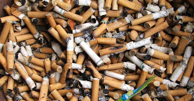 Đây là một trong những thứ rác kinh khủng nhất đại dương, nghiêm trọng hơn cả ống hút nhựa