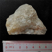 Tìm thấy công cụ bằng đá của con người 2,1 triệu năm trước