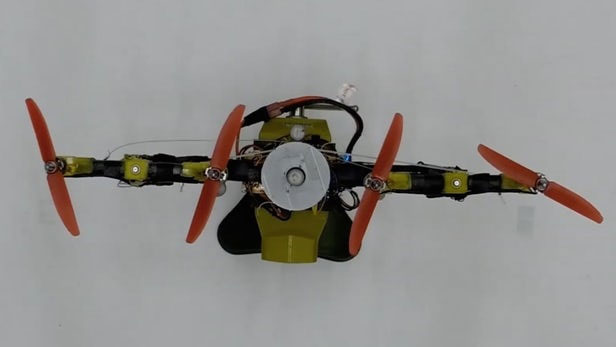 Drone tự 