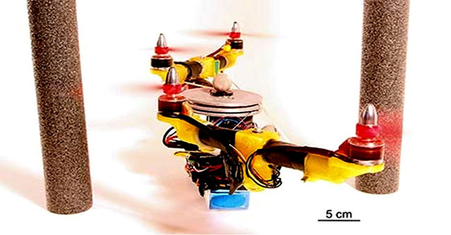 Drone tự "biến hình" để tránh chướng ngại vật