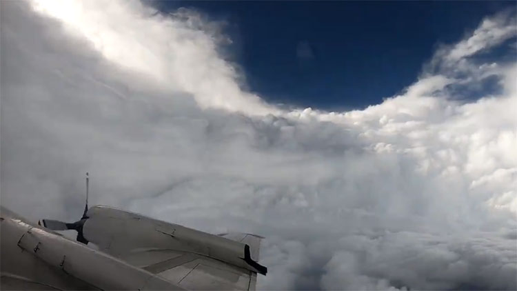 "Đây có lẽ là thứ tuyệt vời nhất mà tôi từng quay phim", Nick viết trên Twitter.