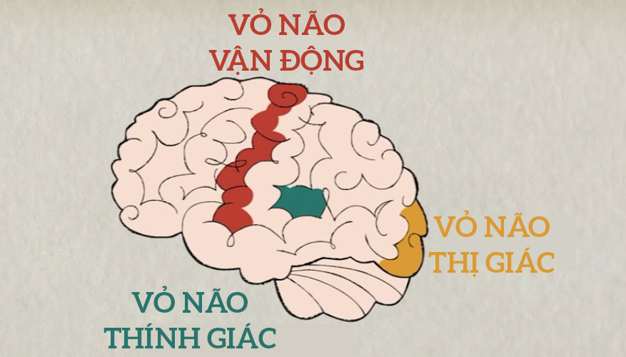 Nghe rõ bước chân người khác, nhưng bạn đã bao giờ nghe thấy tiếng chân của mình chưa?