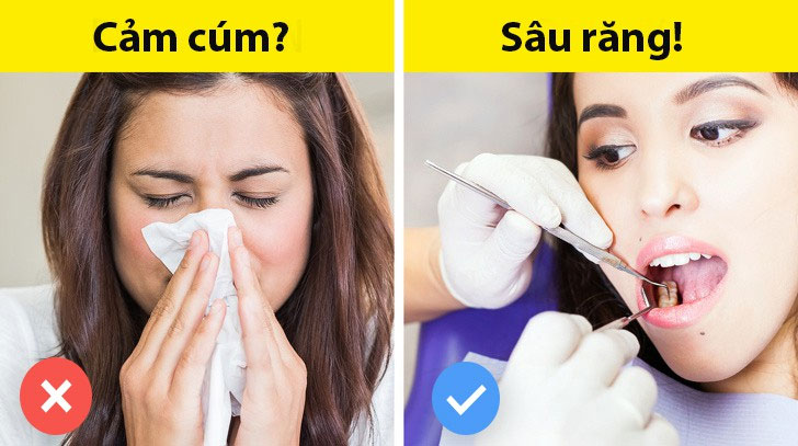 Những sự thật ai cũng tưởng là đúng nhưng hóa ra sai một cách toàn diện