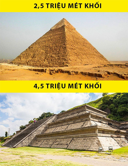 Những sự thật ai cũng tưởng là đúng nhưng hóa ra sai một cách toàn diện