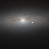 Ảnh nổi bật thiên hà NGC 4036 gây sửng sốt khoa học