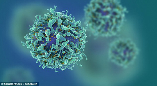 Thuốc chữa dứt HIV sắp ra đời?