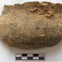 Phát hiện xương sọ người gần 4.000 năm ở Bắc Kạn