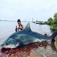 Kịch tính chàng trai khuất phục cá mập hổ dài 4m suốt 3 tiếng