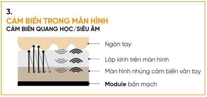 Cảm biến vân tay dưới màn hình có bao nhiêu loại? Loại nào 