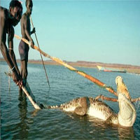 Bộ tộc ít người, sống như thời nguyên thủy, săn lùng hà mã và cá sấu để ăn thịt