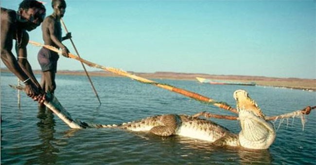 Bộ tộc ít người, sống như thời nguyên thủy, săn lùng hà mã và cá sấu để ăn thịt