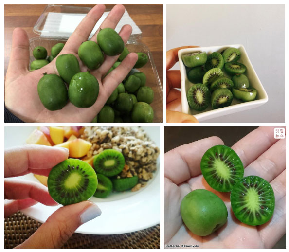 Chắc chắn 9/10 người sẽ lầm khi chỉ nhìn bề ngoài loại trái cây này!