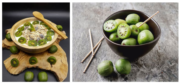 Chắc chắn 9/10 người sẽ lầm khi chỉ nhìn bề ngoài loại trái cây này!