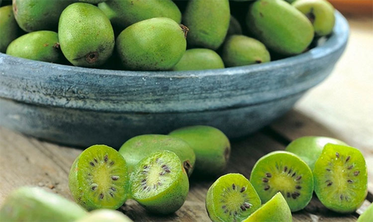 Chắc chắn 9/10 người sẽ lầm khi chỉ nhìn bề ngoài loại trái cây này!