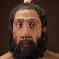 Người Neanderthal ngăn nhân loại khỏi bị bệnh cúm xóa sổ bằng cách nào?