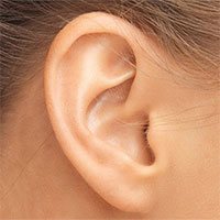 Xác định được loại protein có thể giúp người mất thính lực nghe lại bình thường
