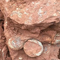 Trung Quốc: Đào đất xây dựng, phát hiện hàng loạt trứng khủng long 145 triệu năm
