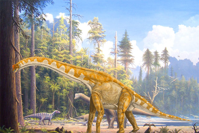 Khủng long Sauropoda