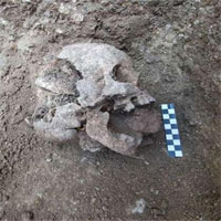Tìm thấy xác "ma ca rồng" thời La Mã cổ đại ở Ý
