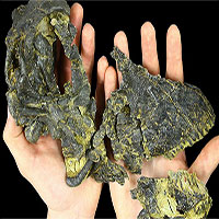 Tìm thấy hộp sọ “siêu nhỏ” của loài khủng long ăn cỏ khổng lồ