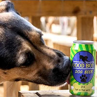 Chó tại Mỹ có loại… bia riêng để uống