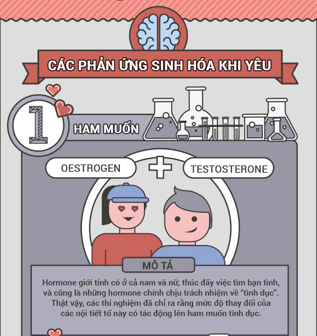 Tất tần tật về tình yêu dưới góc nhìn khoa học
