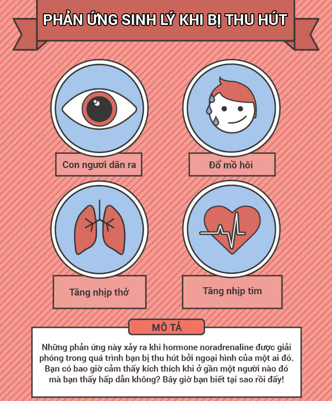 Tất tần tật về tình yêu dưới góc nhìn khoa học