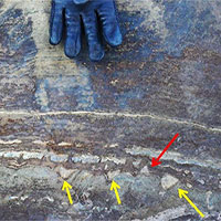 "Hóa thạch" 3,7 tỷ năm tuổi lại một lần nữa gây sốc vì có vẻ đó chỉ là đá bình thường