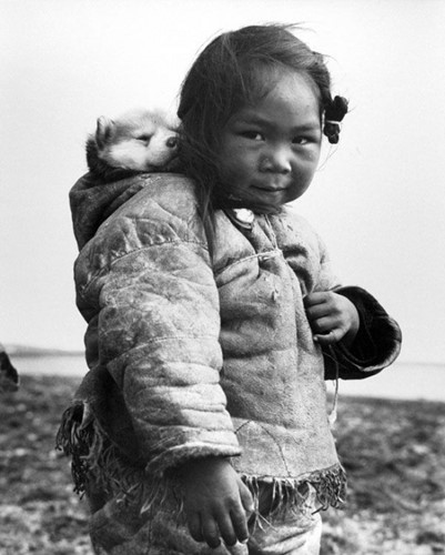 Bé gái người Inuit bên chú chó Husky đáng yêu năm 1949