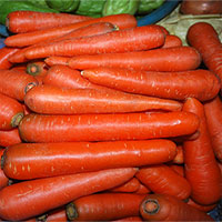 Tác dụng của cà rốt làm tăng tính kết dính của xi măng